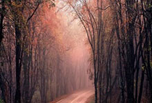 立博体育：欧国联-克罗地亚vs法国首发：姆巴佩、登贝莱先发，莫德里奇出战.