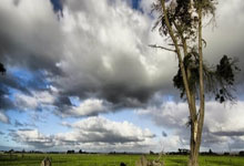 立博体育:詹姆斯39分浓眉伤停 莫兰特20+5不敌灰熊.